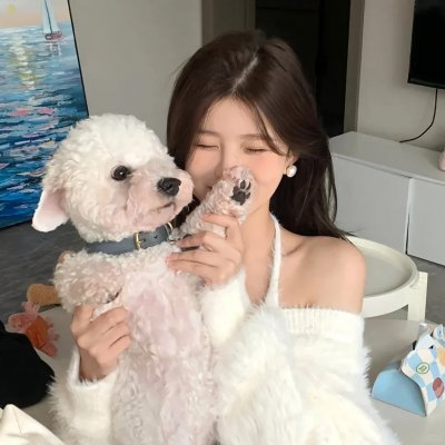 看不见的城市第二季